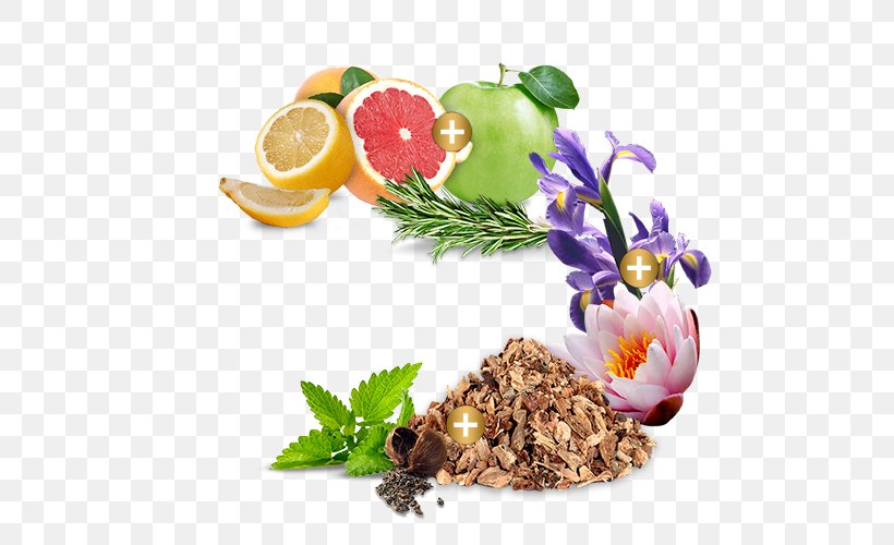 Food Scots Pine Flavor Vegetarian Cuisine Mavive Spa, PNG, 500x500px, Food, Dish, Flavor, Flower, Fruit Download Free