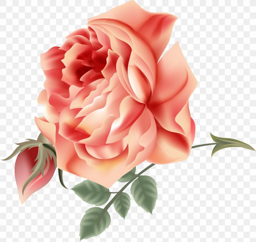 Garden Roses Cabbage Rose Cut Flowers Floral Design, PNG, 4551x4294px, Garden Roses, Artificial Flower, Blume, Cabbage Rose, Cut Flowers Download Free