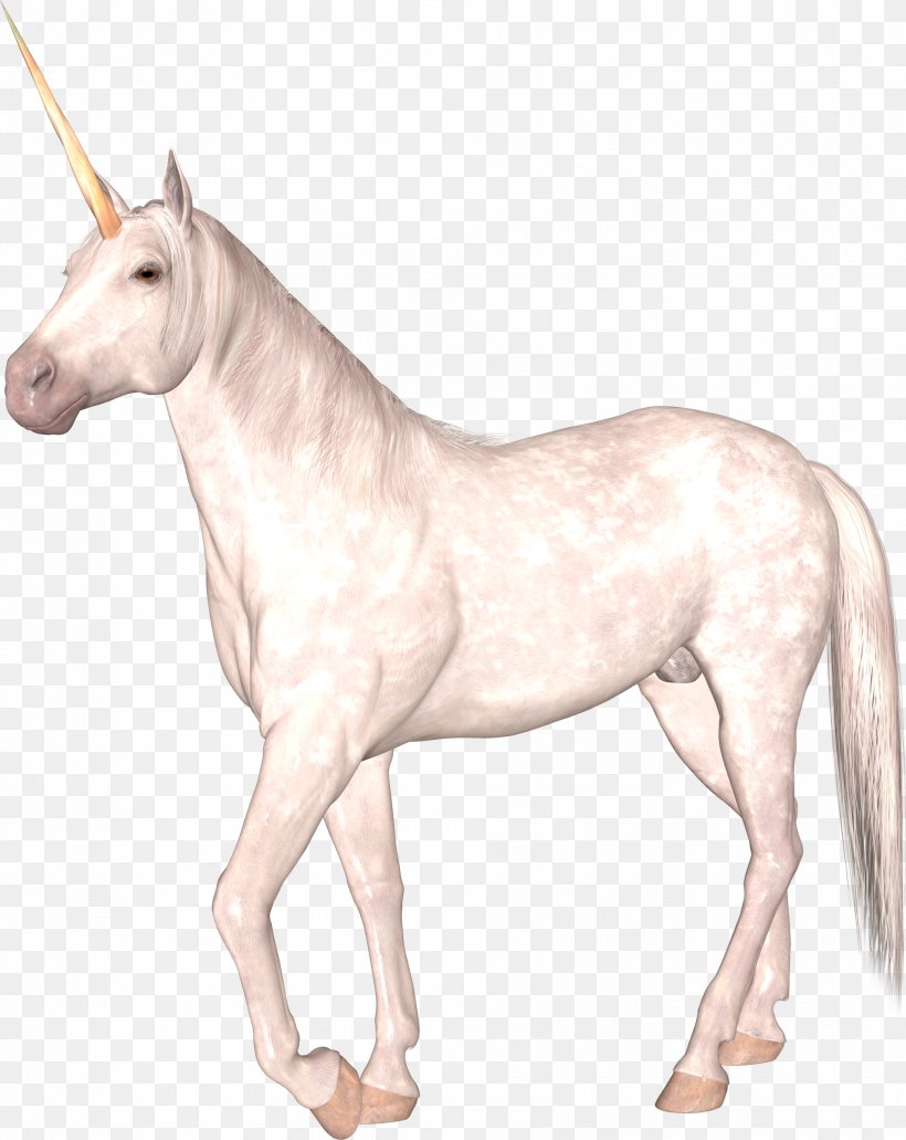 Unicorn, PNG, 1907x2398px, Horse, Animal, Colt, Fictional Character, Hms Unicorn Download Free