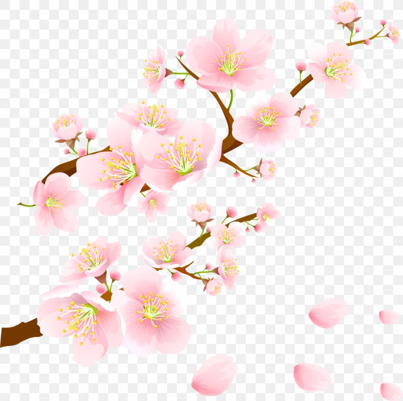 Wedding Invitation Paper Cherry Blossom Wallpaper, PNG, 1084x1080px, Wedding Invitation, Birthday, Blossom, Branch, Cerasus Download Free