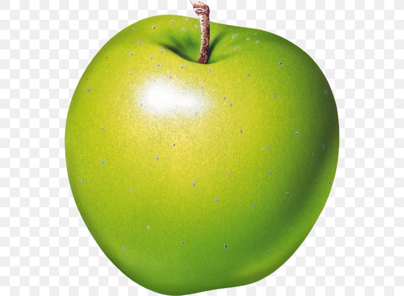 Apple Clip Art, PNG, 558x600px, Apple, Food, Fruit, Granny Smith, Image File Formats Download Free