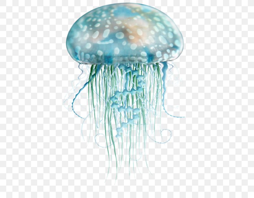 Blue Jellyfish Sea, PNG, 445x640px, Jellyfish, Animal, Blue, Blue Jellyfish, Cnidaria Download Free