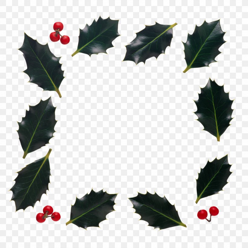 Holly Picture Frames Clip Art, PNG, 2600x2598px, Holly, Aquifoliaceae, Aquifoliales, Branch, Christmas Download Free
