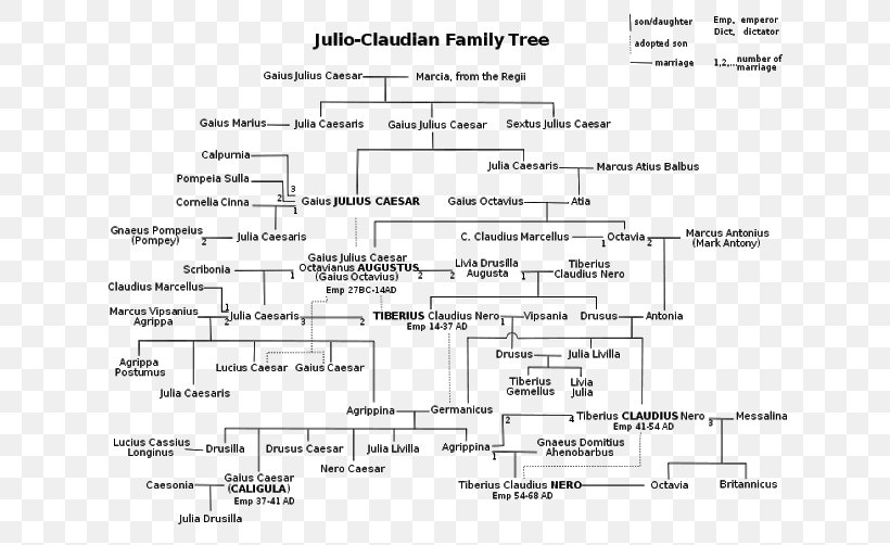 Principate Julio-Claudian Dynasty Family Tree Albero Genealogico Giulio-claudio, PNG, 640x502px, Watercolor, Cartoon, Flower, Frame, Heart Download Free