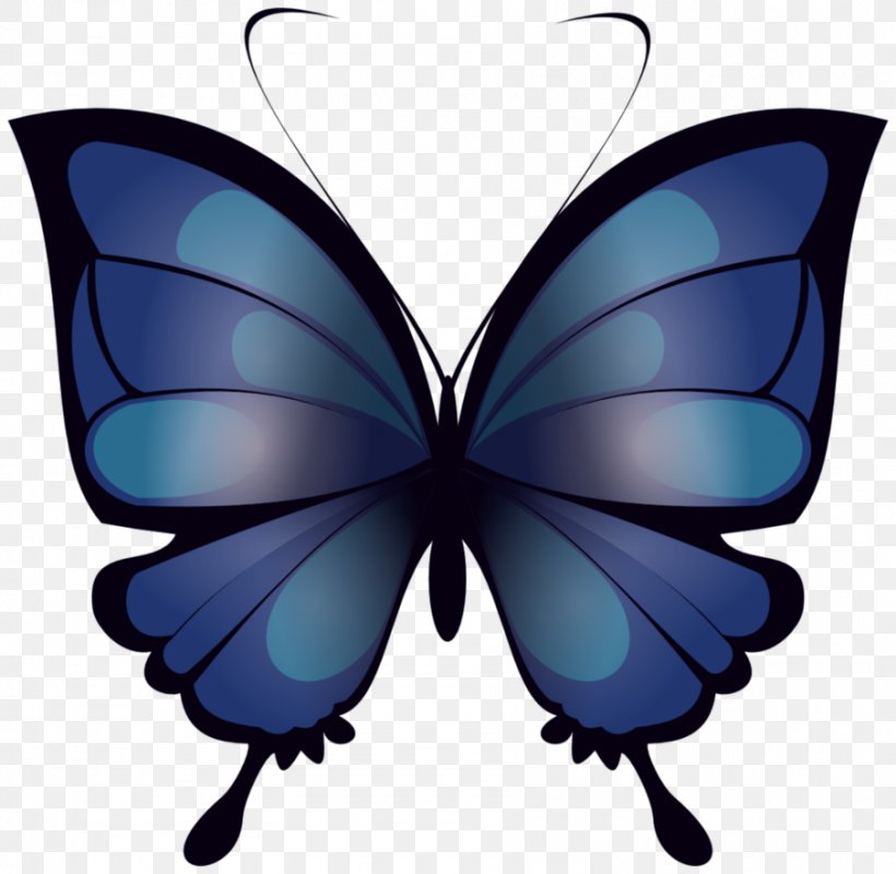 Butterfly Drawing Clip Art, PNG, 905x883px, Butterfly, Art, Arthropod, Brush Footed Butterfly, Butterflies And Moths Download Free