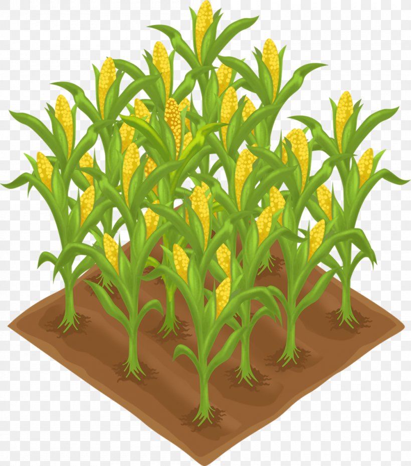Crop Agriculture Farm Field Clip Art, PNG, 1000x1135px, Crop, Agriculture, Aquarium Decor, Farm, Field Download Free