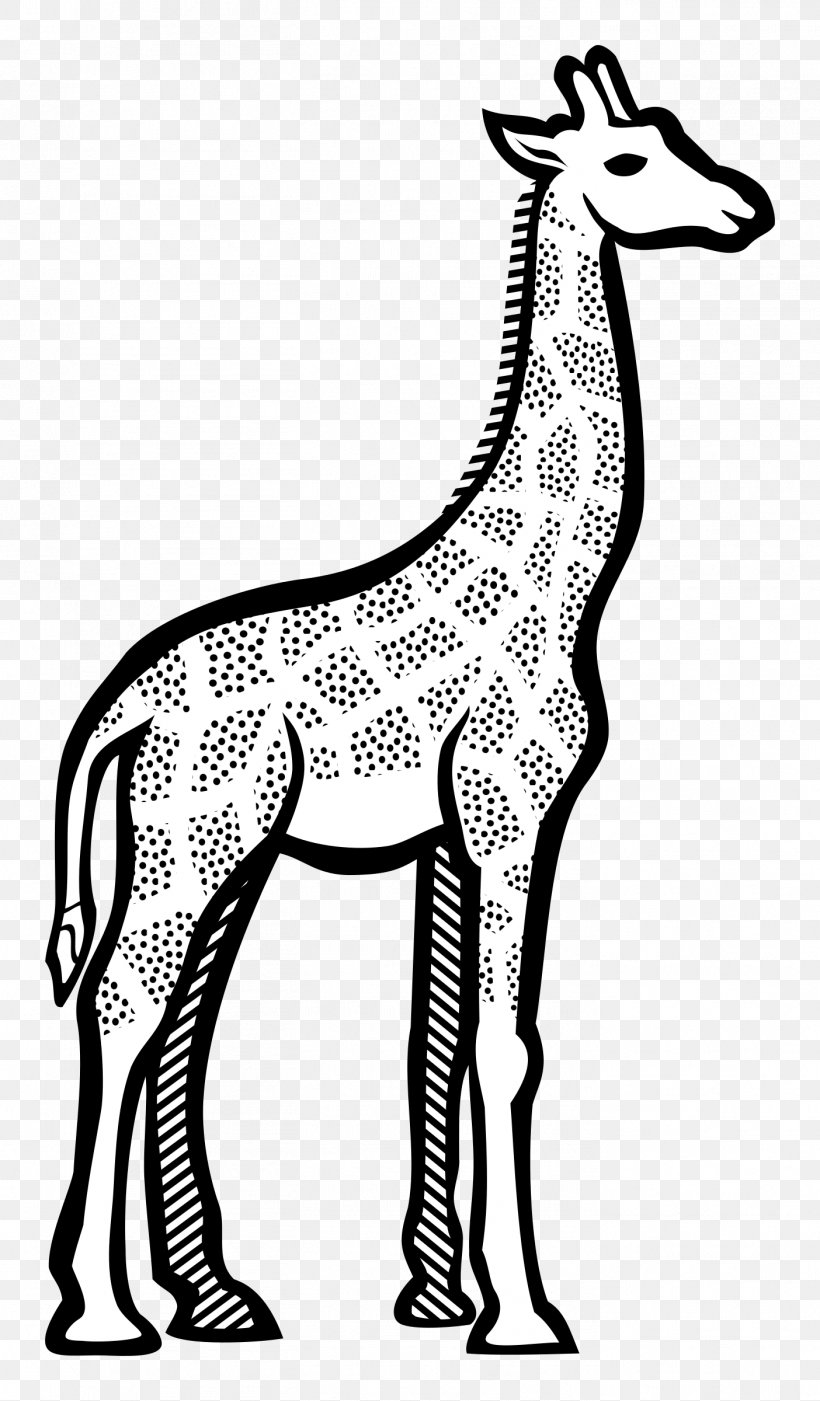 Giraffe Line Art Drawing Clip Art, PNG, 1404x2400px, Giraffe, Animal Figure, Area, Art, Black And White Download Free