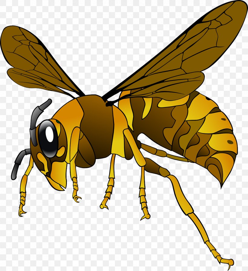 Green Hornet Bee Clip Art, PNG, 1172x1280px, Green Hornet, Arthropod, Baldfaced Hornet, Bee, Bruce Lee Download Free