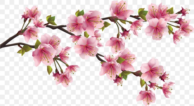 Paper Cherry Blossom Clip Art, PNG, 1280x700px, Paper, Blossom, Branch, Cherry, Cherry Blossom Download Free