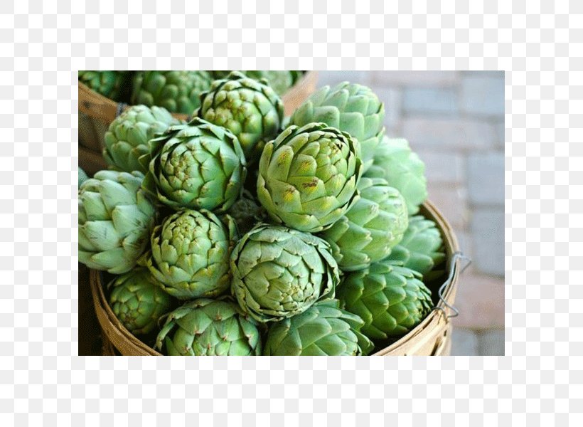 Organic Food Artichoke Leaf Vegetable Minestrone, PNG, 600x600px, Organic Food, Artichoke, Bean, Carrot, Food Download Free