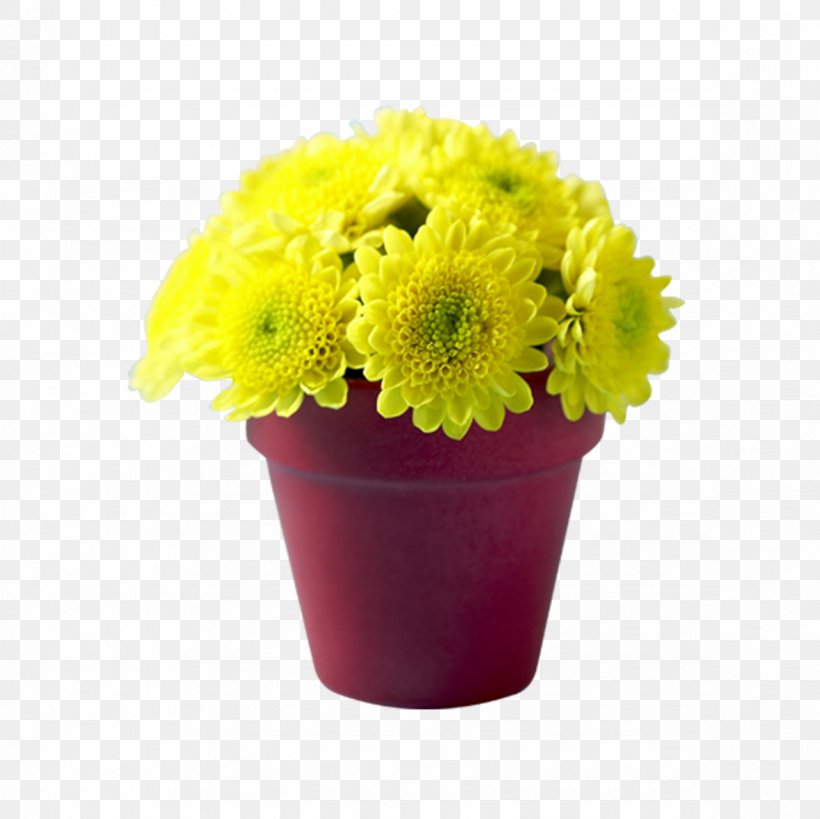 Chrysanthemum Flowerpot Transvaal Daisy Bonsai, PNG, 1181x1181px, Chrysanthemum, Bonsai, Chrysanths, Cut Flowers, Daisy Family Download Free
