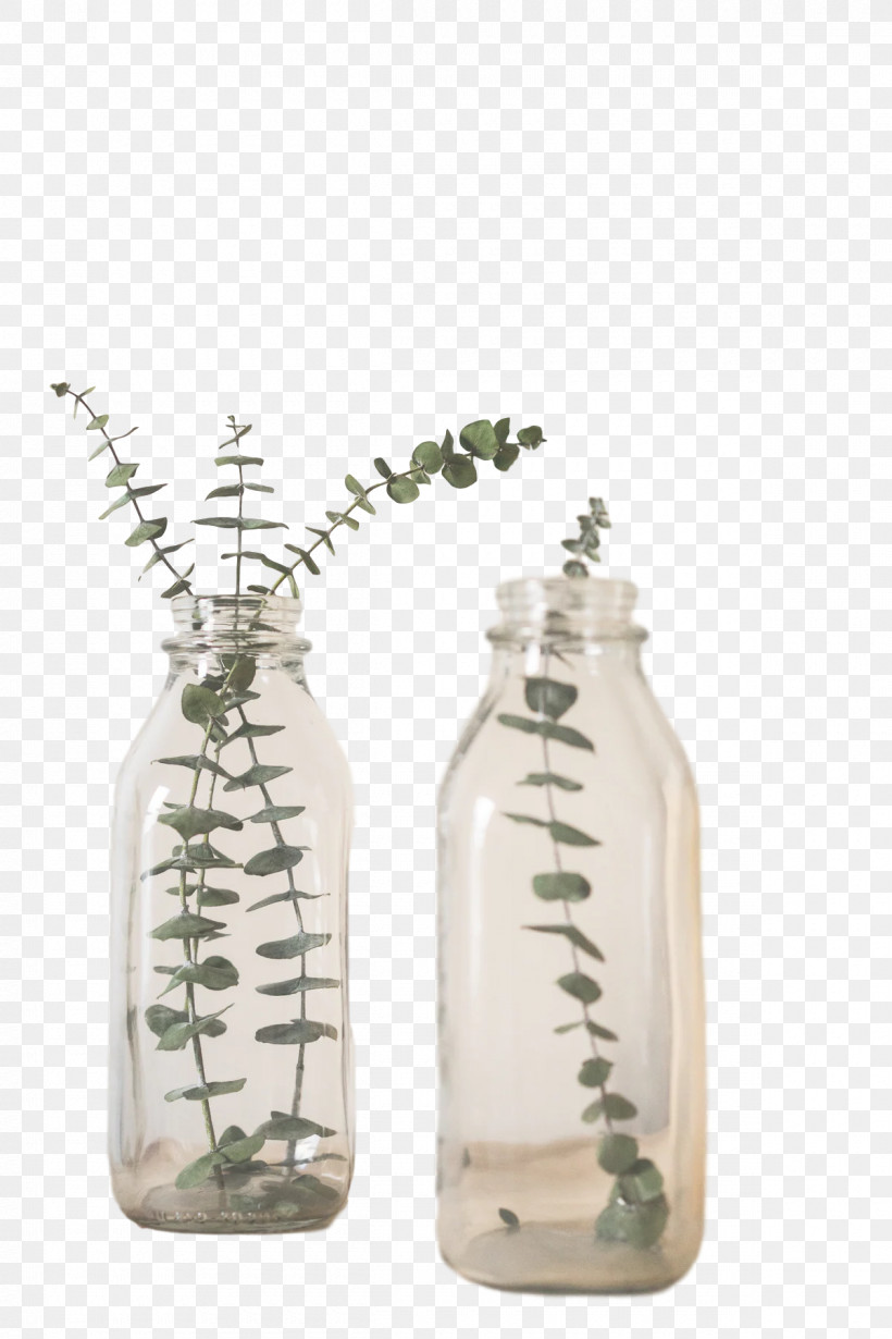 Glass Bottle Glass Bottle Jar Vase, PNG, 1200x1800px, Glass Bottle, Bottle, Branch, Flower, Flowerpot Download Free