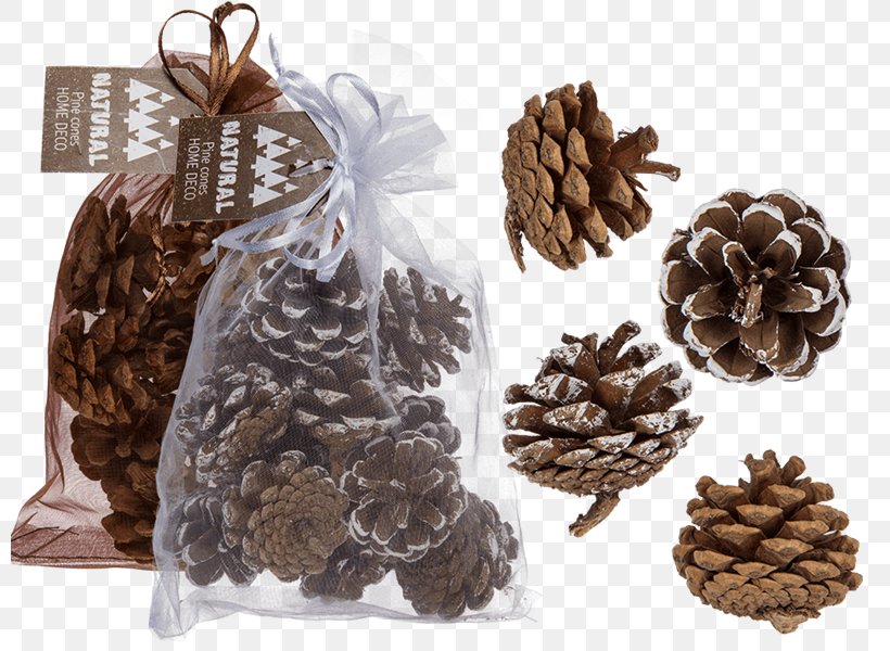 Pine Conifer Cone Christmas Day Gift Spruce, PNG, 800x600px, Pine, Christmas Day, Christmas Ornament, Christmas Tree, Cone Download Free