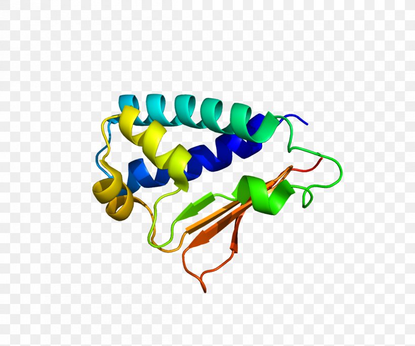 BTG2 Protein Cell Cycle Gene BTG Family, Member 2, PNG, 1200x1000px, Watercolor, Cartoon, Flower, Frame, Heart Download Free