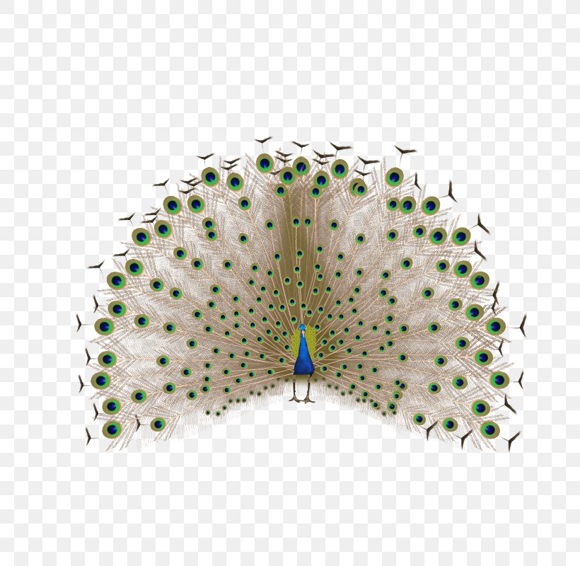 Feather Peafowl, PNG, 800x800px, Feather, Designer, Peafowl, Pixel, Raster Graphics Download Free