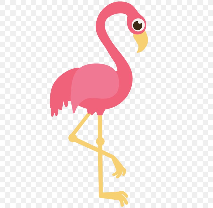 Flamingo Free Content Website Clip Art, PNG, 800x800px, Flamingo, Beak, Bird, Cartoon, Chicken Download Free