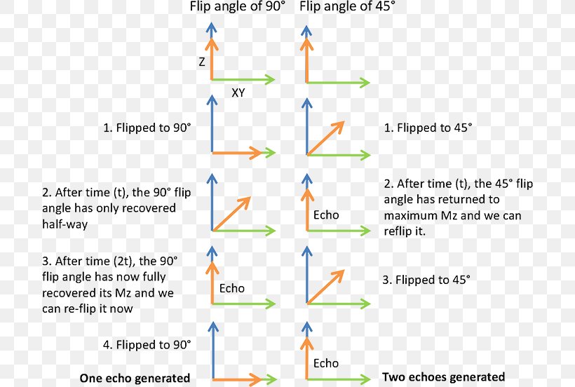 Flip Angle Magnetic Resonance Imaging Gradient Echo Spin Echo Nuclear Magnetic Resonance, PNG, 700x552px, Magnetic Resonance Imaging, Area, Diagram, Document, Gradient Download Free