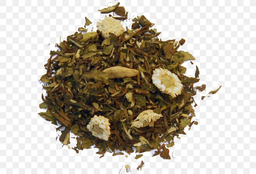 Romeritos Nilgiri Tea Hōjicha Recipe Tea Plant, PNG, 600x558px, Romeritos, Bancha, Dianhong, Earl Grey Tea, Hojicha Download Free