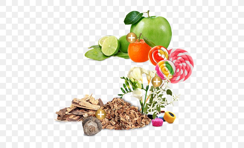 Vegetarian Cuisine Vegetable Food Police Fashion, PNG, 500x500px, Vegetarian Cuisine, Cuisine, Diet, Diet Food, Dish Download Free