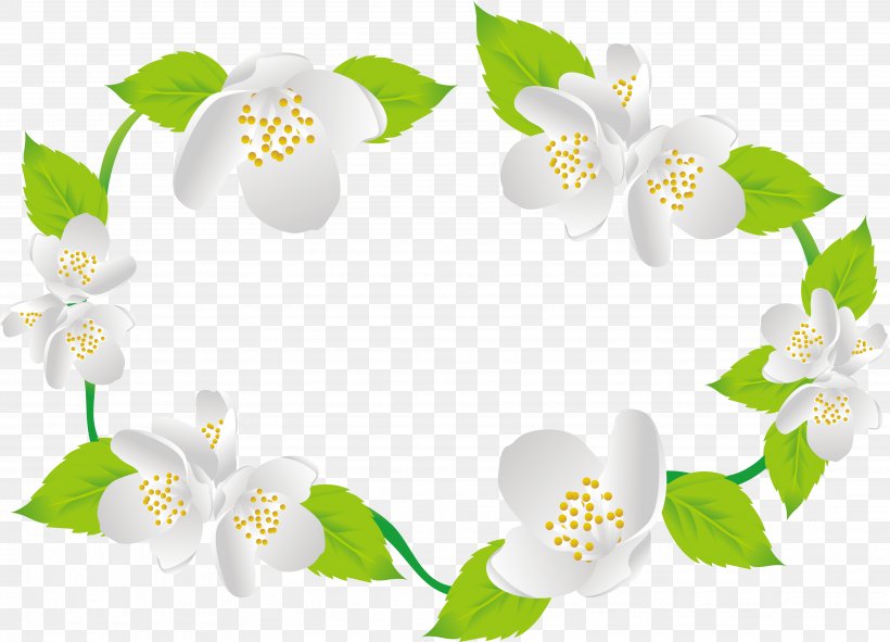 Arabian Jasmine Flower Euclidean Vector, PNG, 3723x2684px, Flower, Flora, Floral Design, Flowering Plant, Grass Download Free
