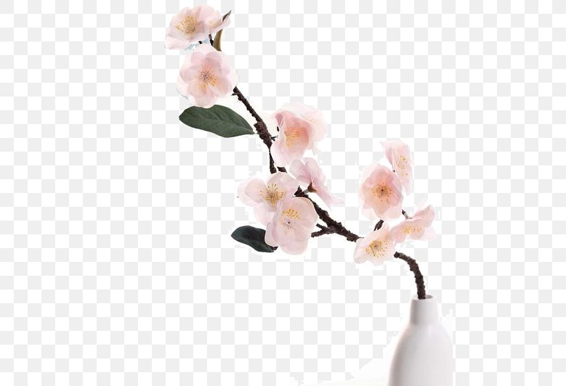 Cherry Blossom Flower Plum, PNG, 493x560px, Blossom, Artificial Flower, Blume, Branch, Cherry Download Free