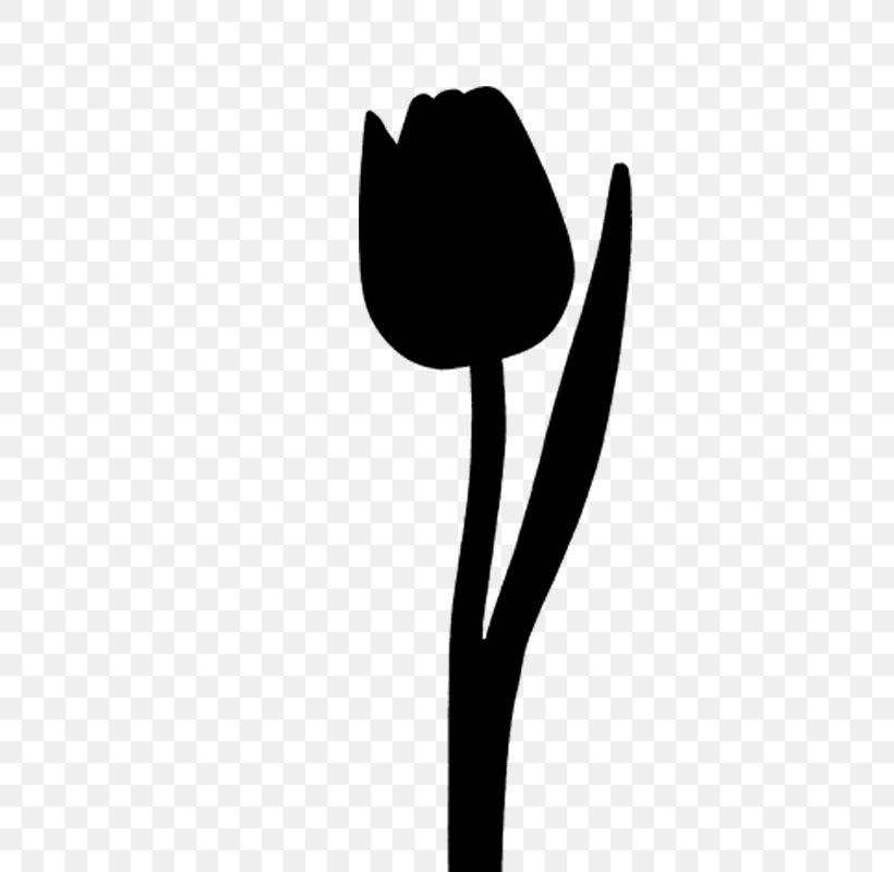 Flower Clip Art Plant Stem Product Design Line, PNG, 800x800px, Flower, Black M, Blackandwhite, Botany, Flowering Plant Download Free