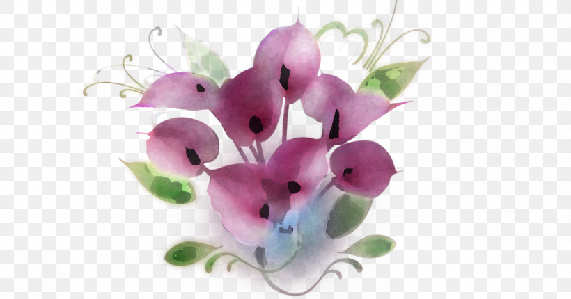 Flower Violet Pink Petal Plant, PNG, 1200x630px, Flower, Cut Flowers, Dendrobium, Petal, Pink Download Free