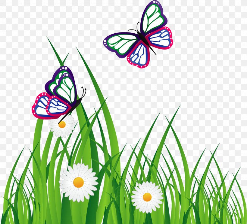 Adobe Illustrator Graphic Design Download, PNG, 1789x1628px, Graphics Software, Artworks, Brush Footed Butterfly, Butterfly, Designer Download Free