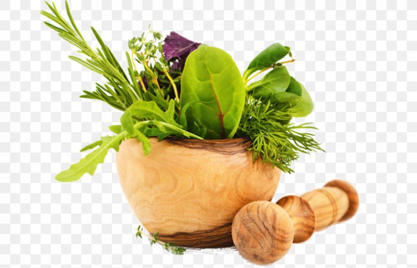 Herbalism Food Thai Cuisine Health, PNG, 828x533px, Herb, Ayurveda, Dietary Supplement, Flower, Flowerpot Download Free