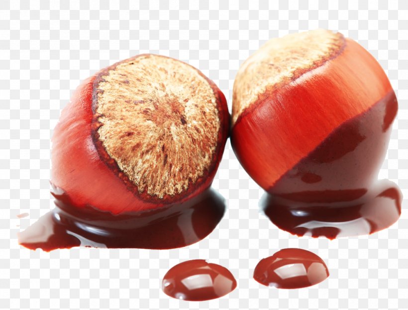 Praline Hot Chocolate White Chocolate Chocolate Brownie, PNG, 999x760px, Praline, Chestnut, Chocolate, Chocolate Brownie, Dried Fruit Download Free