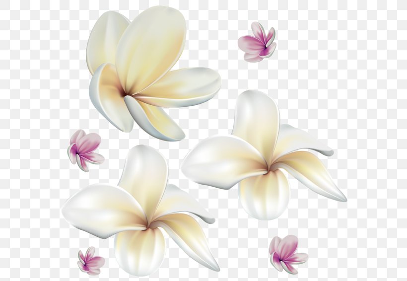 Art Desktop Wallpaper Clip Art, PNG, 600x566px, Art, Art Museum, Decoupage, Flower, Flowering Plant Download Free