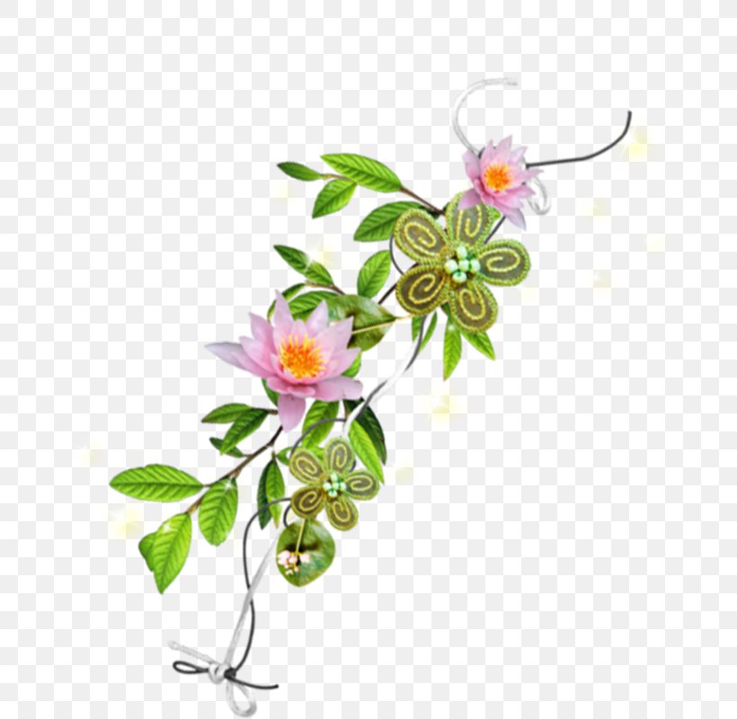 Floral Design Flower Clip Art, PNG, 800x800px, Floral Design, Bird, Branch, Cut Flowers, Flora Download Free