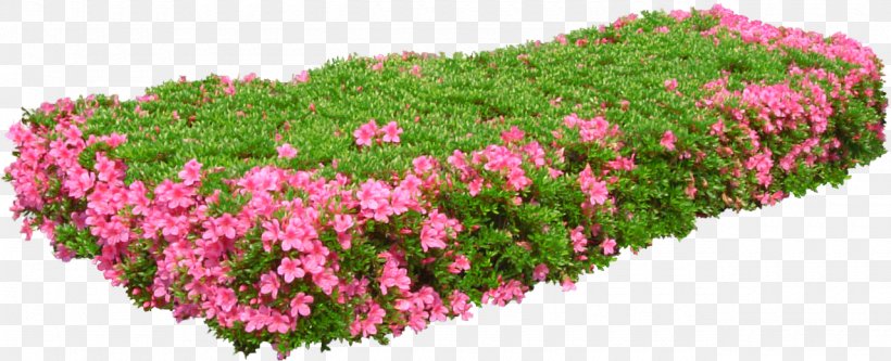Flower Garden, PNG, 1280x521px, Flower, Annual Plant, Digital Image, Flower Garden, Flowering Plant Download Free