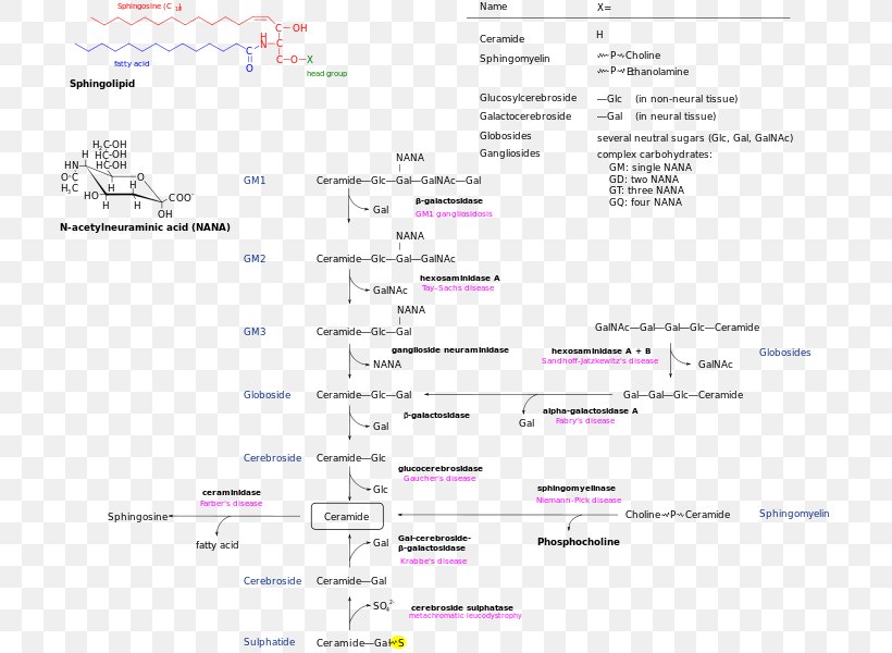 Screenshot Lipid Storage Disorder Line Font, PNG, 717x600px, Screenshot, Area, Diagram, Disease, Document Download Free