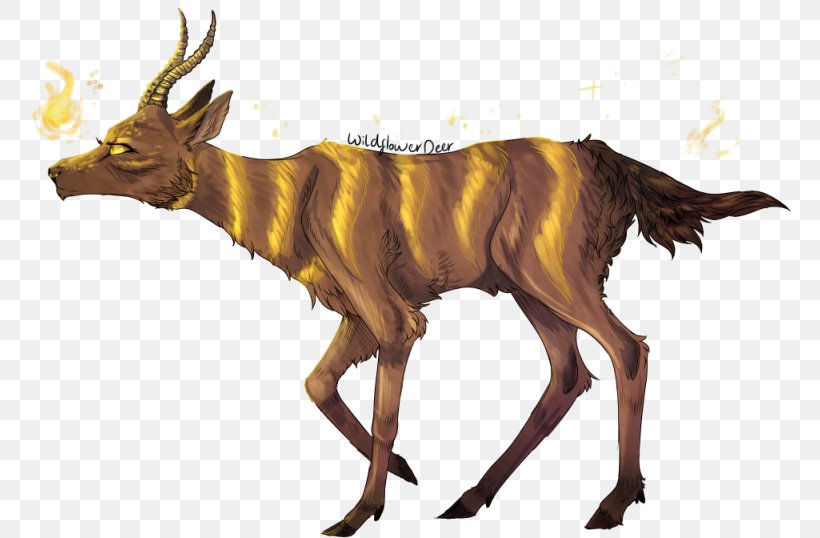 Cattle Antelope Elk Goat Wildlife, PNG, 800x538px, Cattle, Animal, Antelope, Antler, Cattle Like Mammal Download Free
