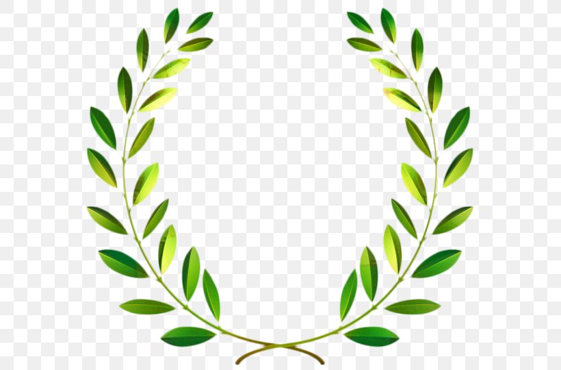 Green Grass Background, PNG, 599x540px, Laurel Wreath, Bay Laurel, Drawing, Flower, Grass Download Free
