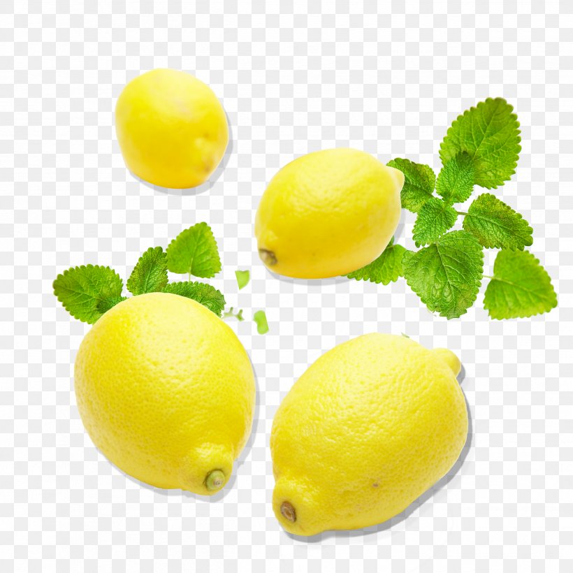 Lemon Citron Lime Citric Acid Yellow, PNG, 2494x2494px, Lemon, Acid, Citric Acid, Citron, Citrus Download Free