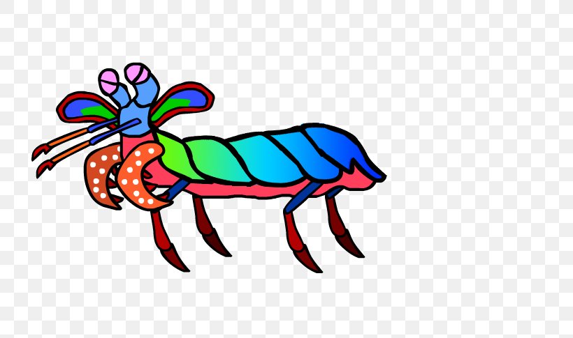 Mantis Shrimp Odontodactylus Scyllarus Insect Clip Art, PNG, 729x485px, Mantis Shrimp, Art, Artwork, Decapoda, Drawing Download Free