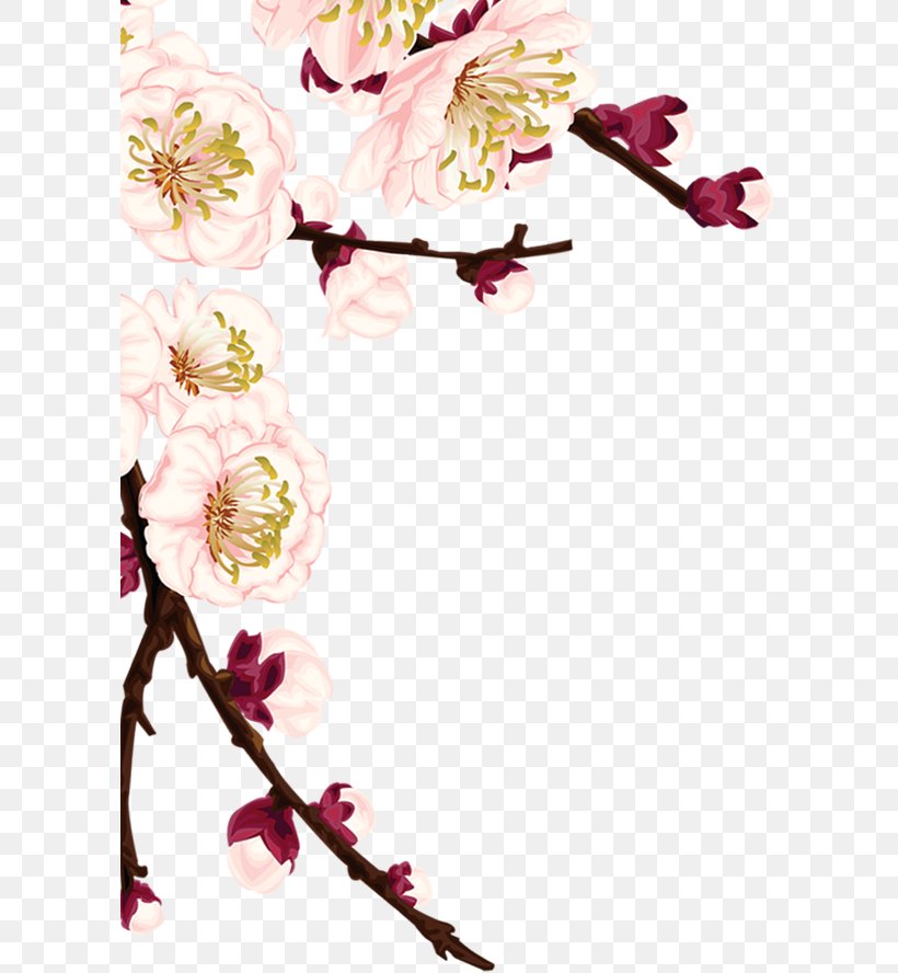 Plum Blossom, PNG, 599x888px, Plum Blossom, Blossom, Branch, Cherry Blossom, Cut Flowers Download Free