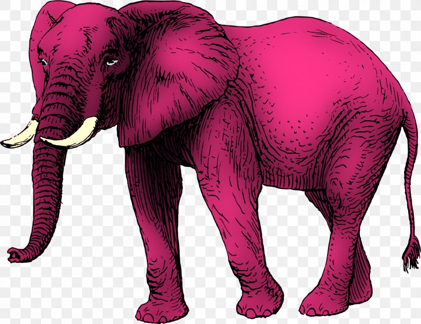 African Elephant Asian Elephant Clip Art Vector Graphics, PNG, 2400x1849px, African Elephant, Animal Figure, Asian Elephant, Drawing, Elephant Download Free