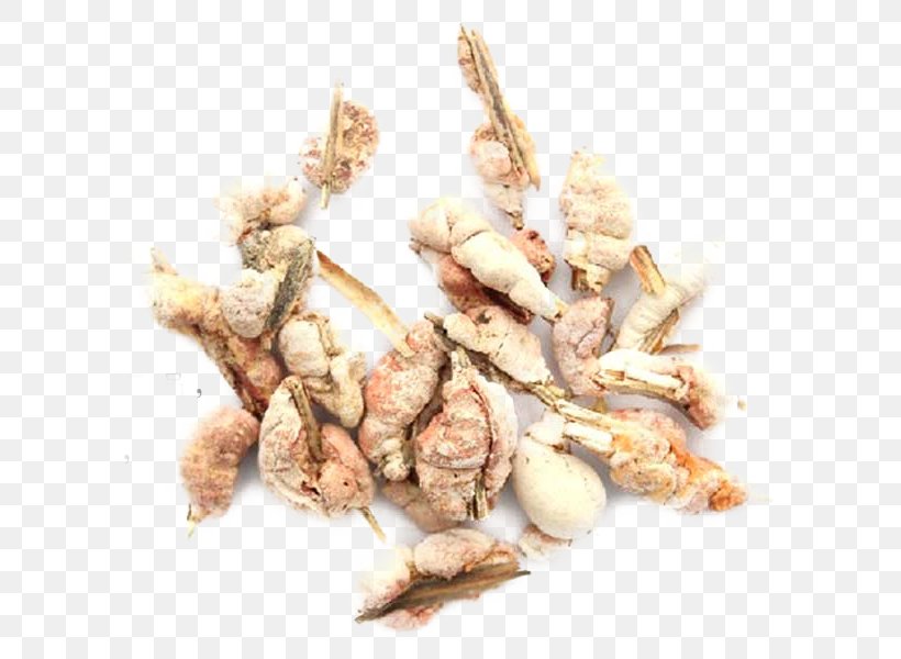 Chinese Herbology Traditional Chinese Medicine, PNG, 600x600px, Chinese Herbology, Animal Source Foods, Bergamot Orange, Galangal, Google Images Download Free