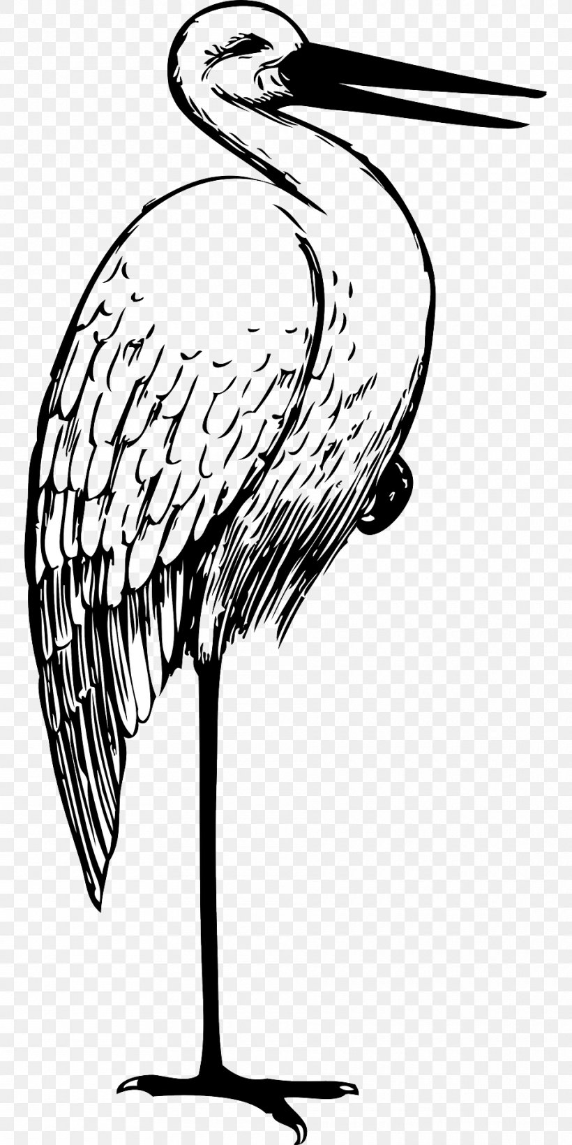 White Stork Clip Art, PNG, 960x1920px, White Stork, Art, Artwork, Beak, Bird Download Free