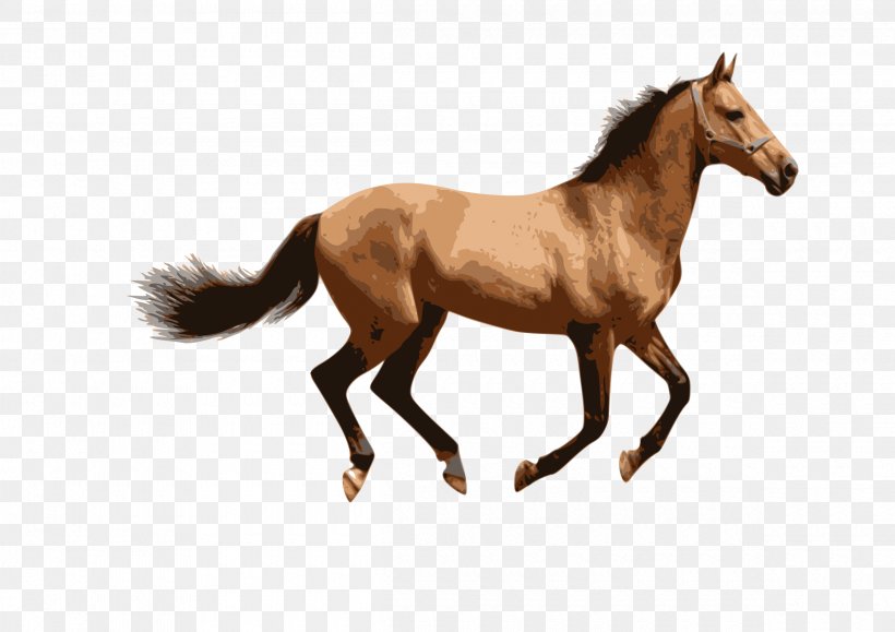 American Miniature Horse Mule Stallion Mare Pony, PNG, 2400x1697px, American Miniature Horse, Animal Figure, Canter And Gallop, Colt, Donkey Download Free