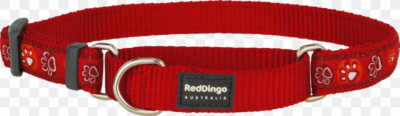 Dog Collar Dingo Martingale Strap, PNG, 3000x871px, Dog, Buckle, Clothing Accessories, Collar, Dingo Download Free