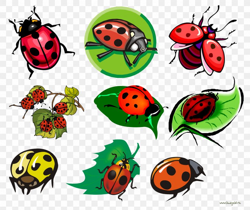 Drawing Tattoo Ladybird Sketch, PNG, 2495x2103px, Drawing, Animal Figure, Artwork, Beetle, Body Piercing Download Free