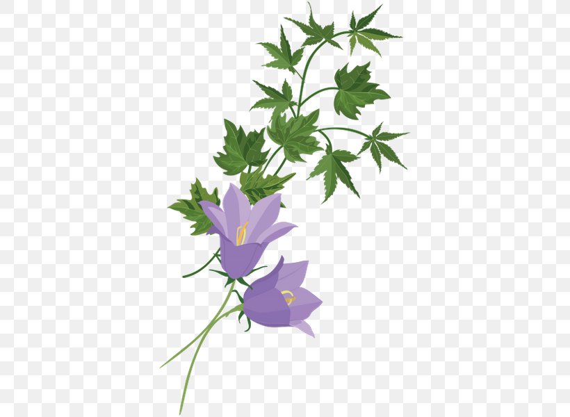 Flower Plant Stem Clip Art, PNG, 371x600px, Flower, Branch, Flora, Flowering Plant, Herbaceous Plant Download Free