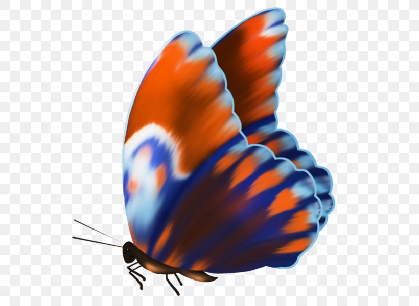 Insect Borboleta Image Gossamer-winged Butterflies Moth, PNG, 600x600px, Insect, Apatura, Arthropod, Blue, Borboleta Download Free