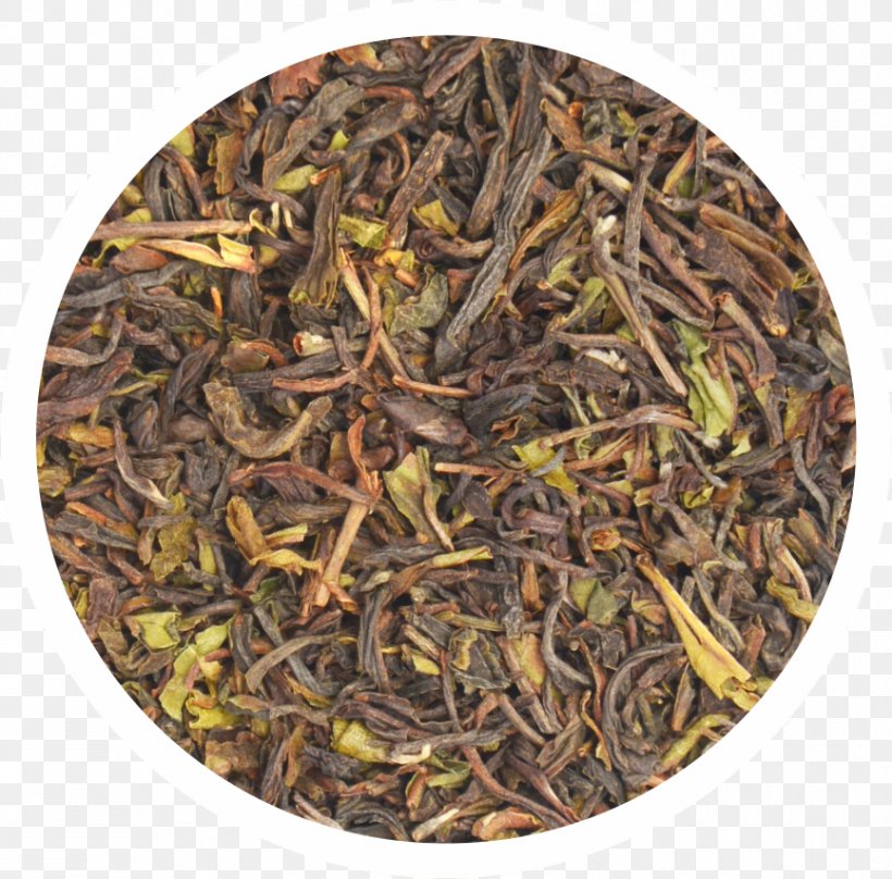 Nilgiri Tea Dianhong Romeritos Golden Monkey Tea, PNG, 866x854px, 2018 Audi Q7, Nilgiri Tea, Assam Tea, Audi Q7, Bai Mudan Download Free