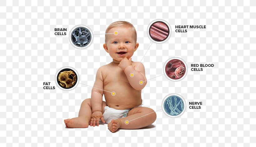 Diaper Infant Child, PNG, 575x473px, Diaper, Boy, Child, Child Care, Child Development Download Free