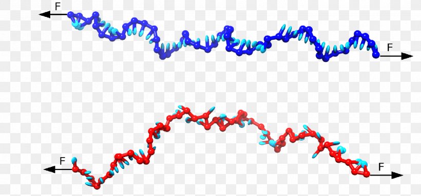 DNA Virus Force Nucleotide Tension, PNG, 1885x882px, Dna Virus, Blue, Diagram, Dna, Duplex Download Free